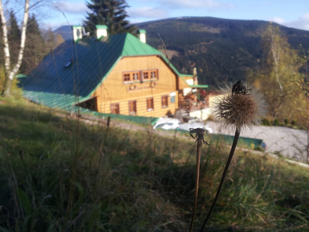 Penzion Alenka Špindlerŭv Mlýn Exterior foto