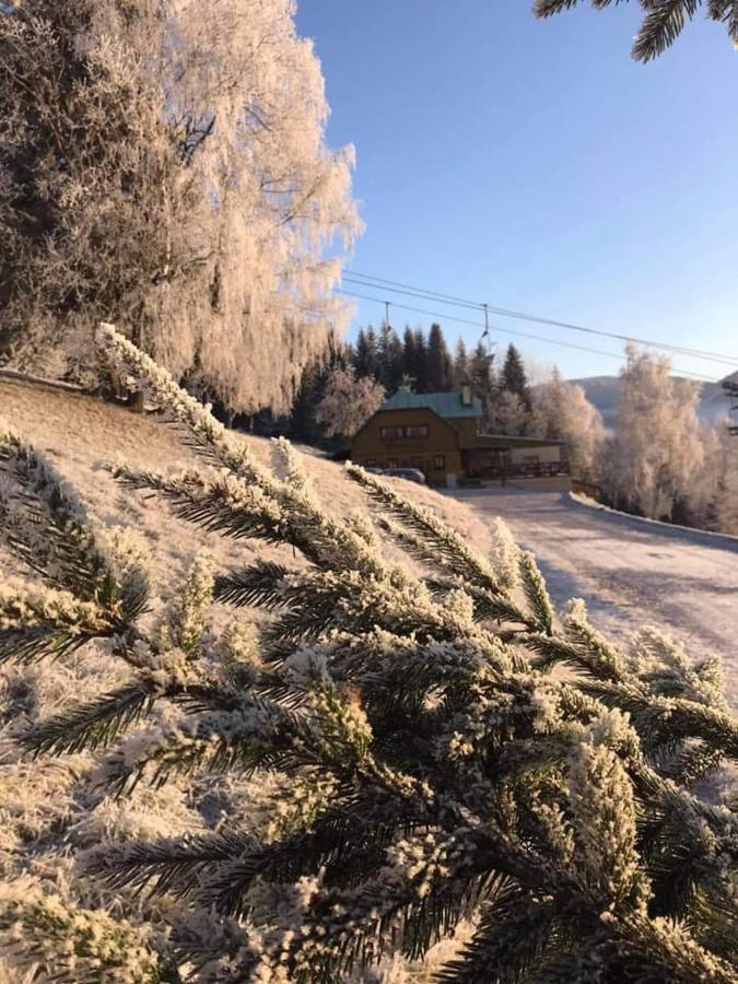 Penzion Alenka Špindlerŭv Mlýn Exterior foto