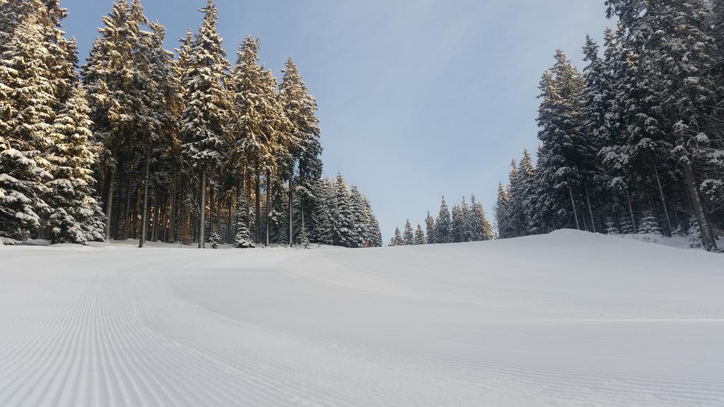 Penzion Alenka Špindlerŭv Mlýn Exterior foto
