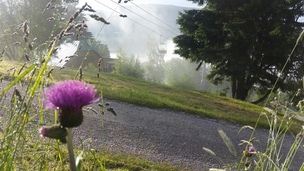 Penzion Alenka Špindlerŭv Mlýn Exterior foto