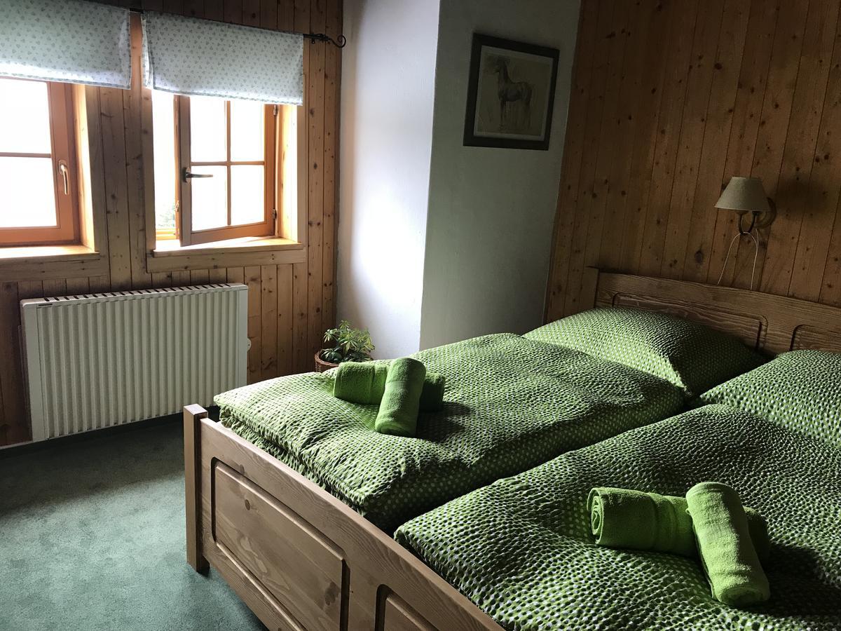 Penzion Alenka Špindlerŭv Mlýn Exterior foto